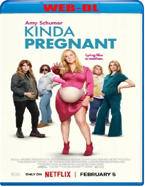 Kinda Pregnant (2025) mkv FullHD 1080p WEBDL ITA ENG Subs
