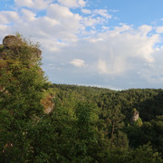 Zeckenstein (1)
