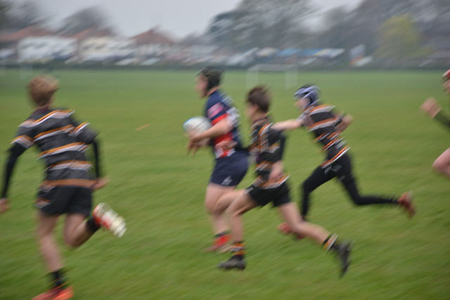 DSC 0990.jpg