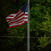 DSC06395DP