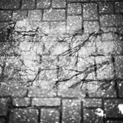 L1030201-2