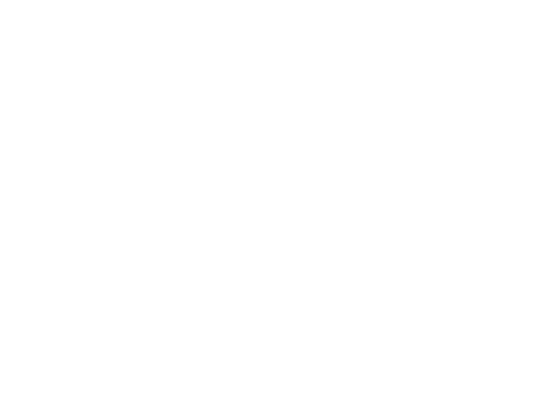 Tizzle Sizzlers Logo