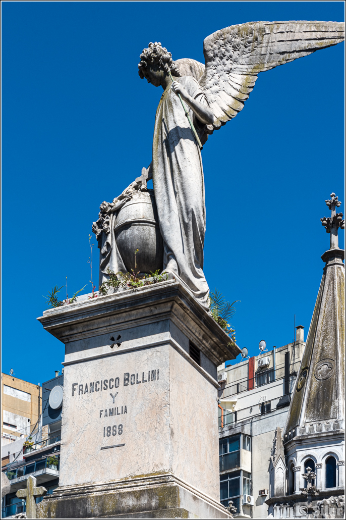 Буэнос-Айрес, Ушуая, Эль-Калафате, Перито-Морено, Эль-Чалтен, Игуасу (весна 2025) Буэнос-Айрес, Ушуая, Эль-Калафате, Перито-Морено, Эль-Чалтен, Игуасу (весна 2025)