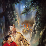 Picture-357
