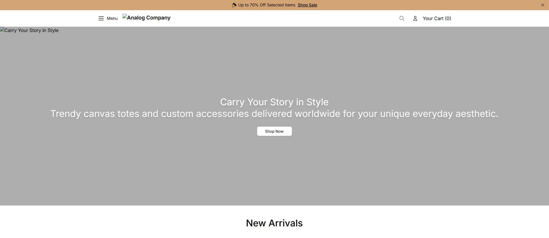 Stored capture of analogcompanyshop.shop