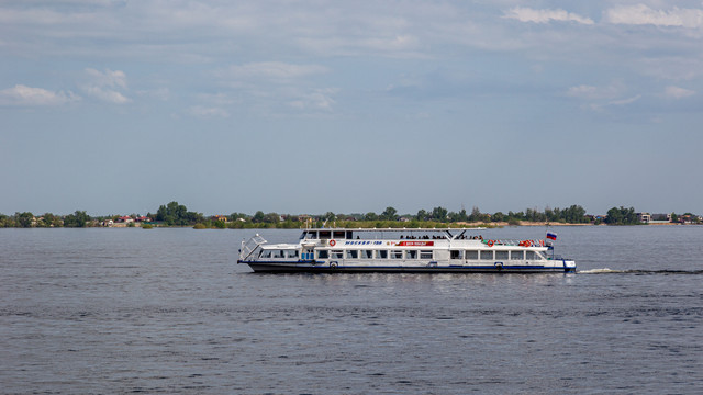 IMG 0773.jpg