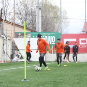 IMG-0008