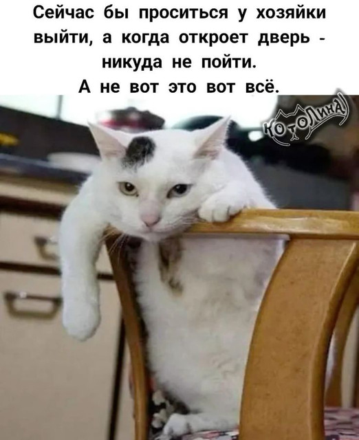 c66d2d2a1286cd8ca04ccddef46f40bc