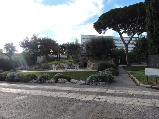 DSCN8162