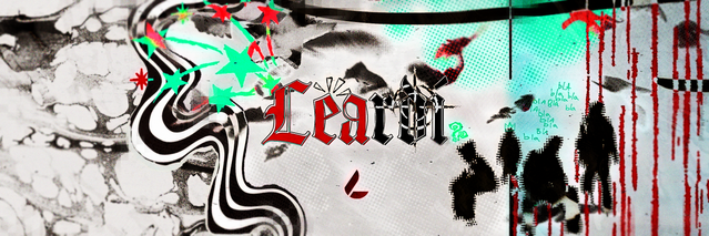 leardi Header
