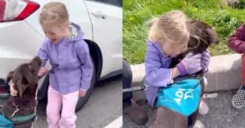 Little Girl's Reunion with Shelter Dog Melts Hearts