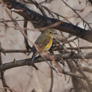 P4242164-1.jpg