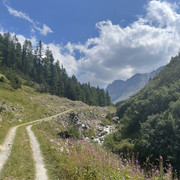 IMG-7435-2