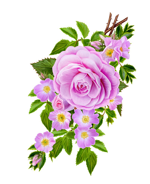 shutterstock-539896468.jpg