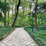 太子湾公园4
