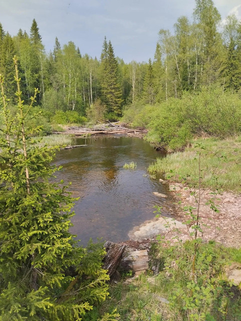 старая калья3