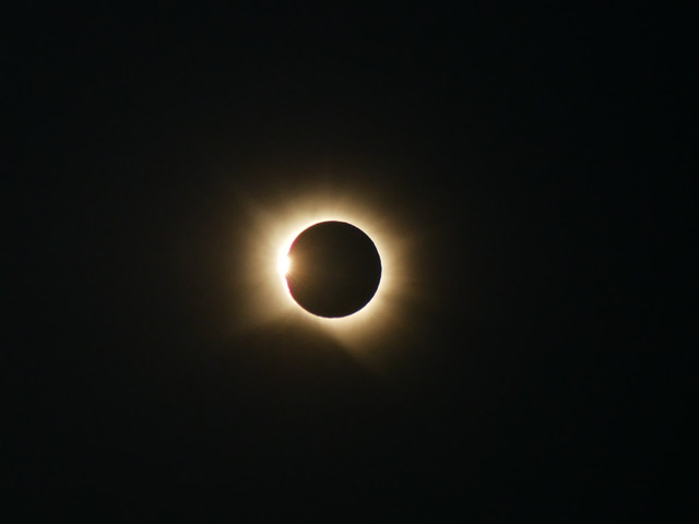 1430330.jpg