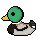 Ichomallard.gif