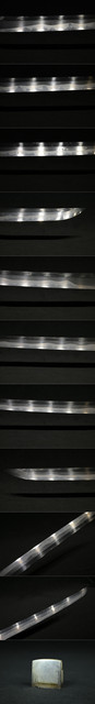 DSC4555