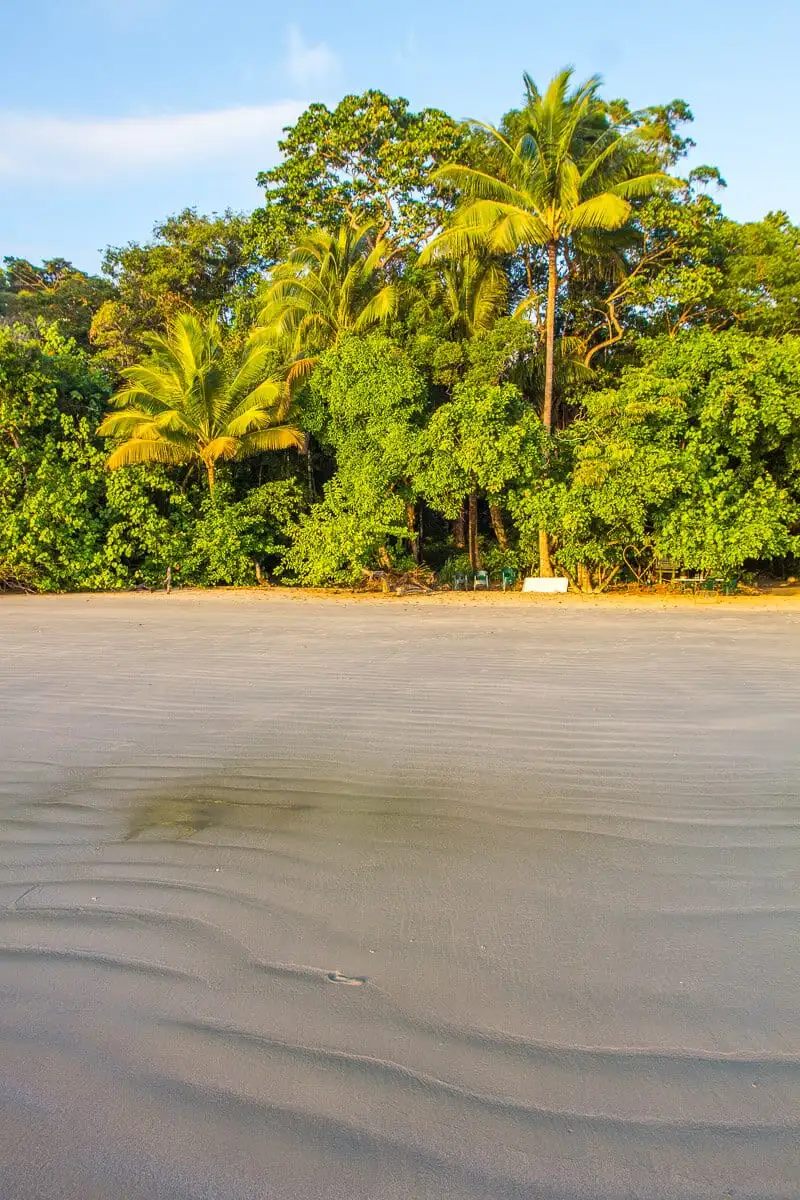 Scenic Drive from Port Douglas to Cape Tribulation: A Tropical Paradise Unveiled