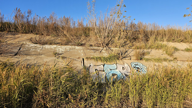 20261005-162235.jpg