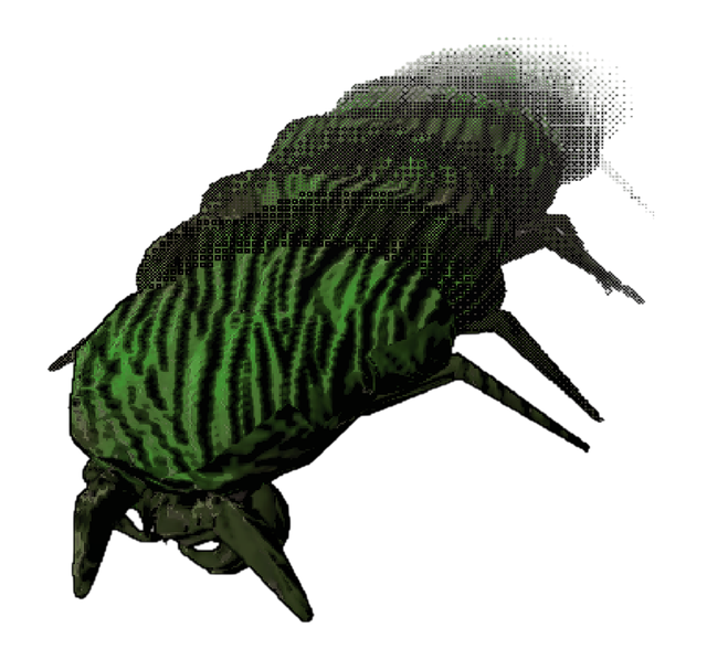 Vernel