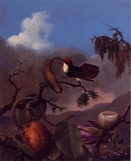 Ruby-Topaz-Hummingbirds