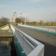 2011-12-21-033