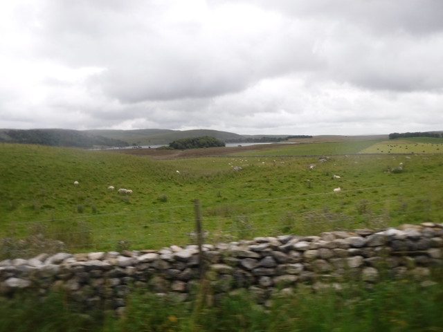 DSCF9124.jpg
