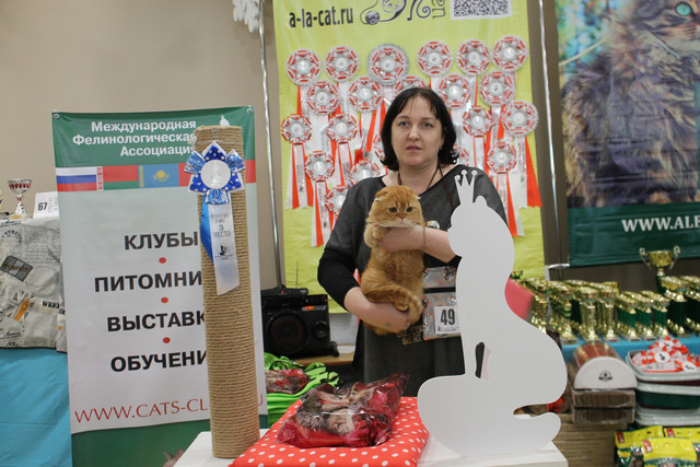 IMG-5688.jpg