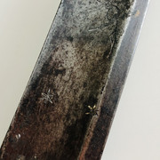 IMG-E6572