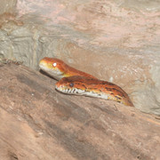 DSCN9812