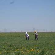 DSC00356