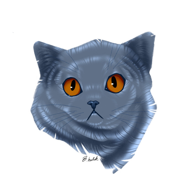 Charlie-Final-2.jpg