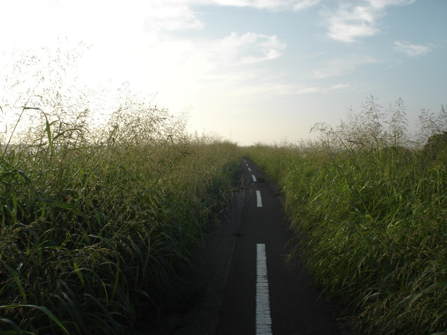 2012-09-04-127.jpg