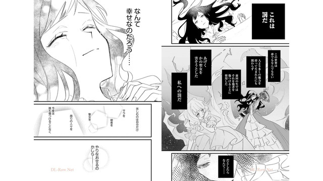 DLRAW-NET-010