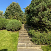 IMG-0596
