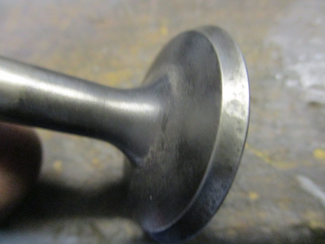 IMG-8979.jpg