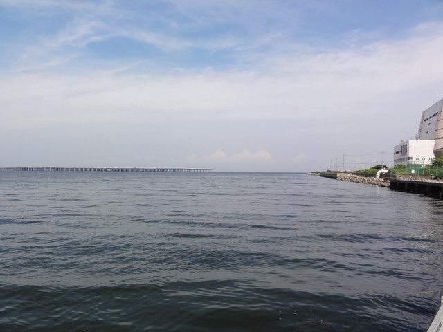 2011-07-03-41.jpg