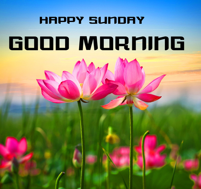 sunday-2