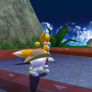 Sits