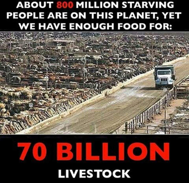Starving