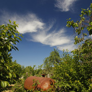 100c010040m