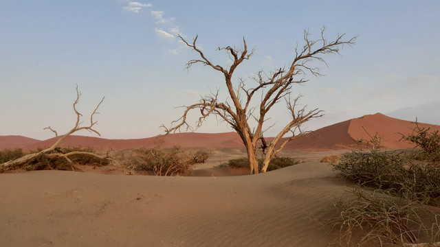 20240925-071107.jpg