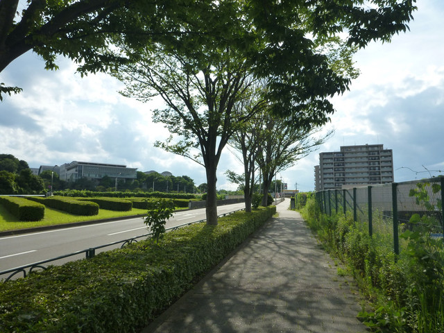 P1330016