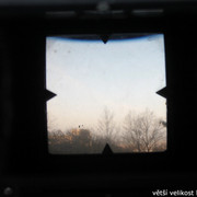 IMG-1595