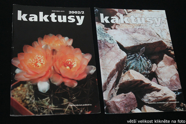 IMG-3281.jpg