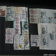IMG-3387