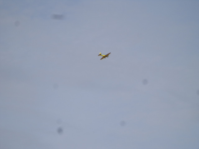 DSC00646.jpg