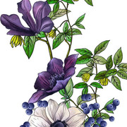 01-1197
